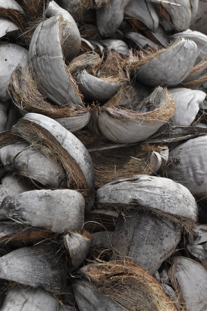 A detailed view of stacked dried coconut husks showcasing natural texture and organic patterns.